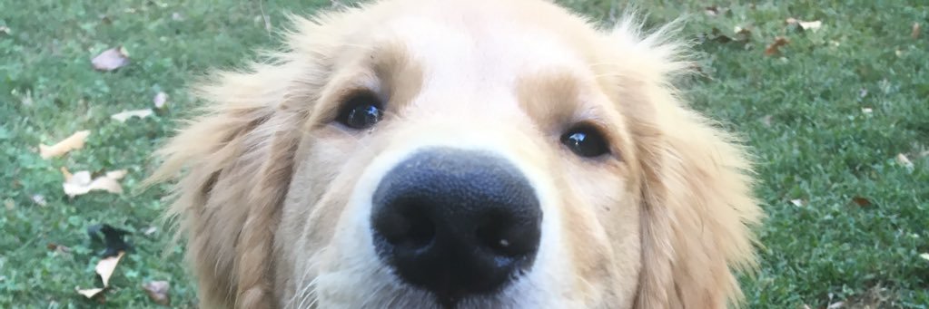 Morgannn_21's profile banner image