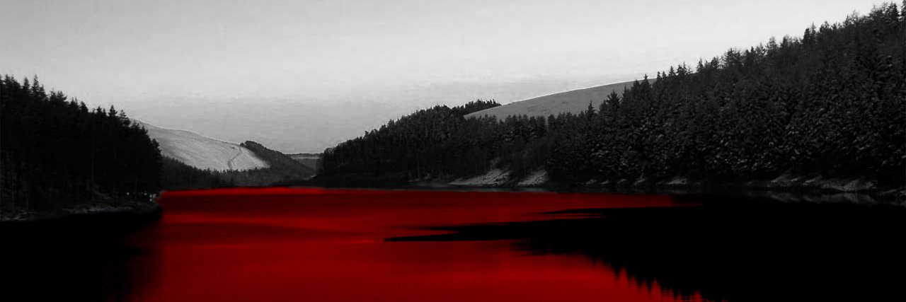 Saga banner