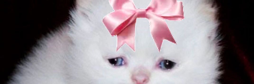 PIMU💜's banner