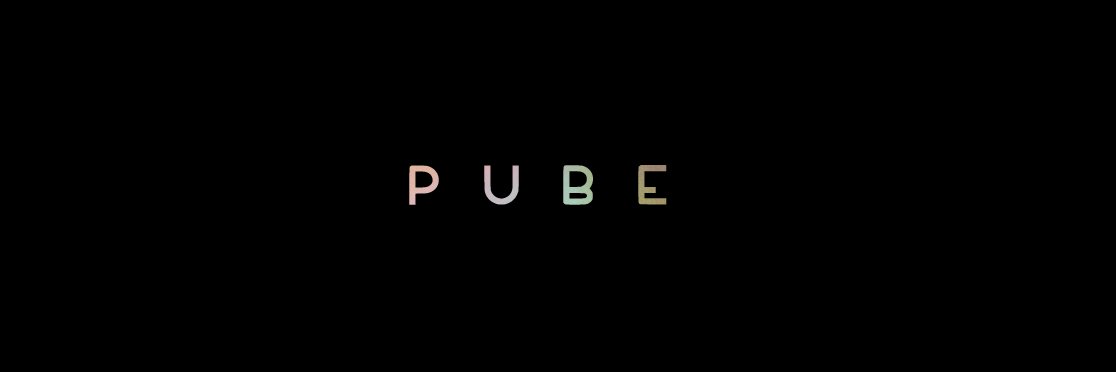 PUBE banner