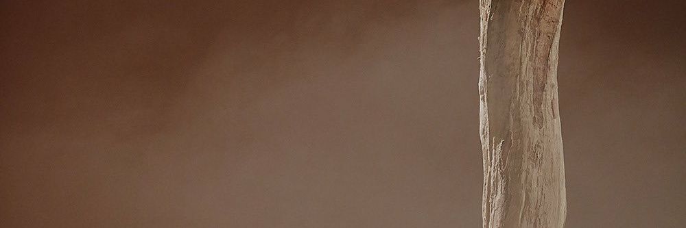 mbby514 banner