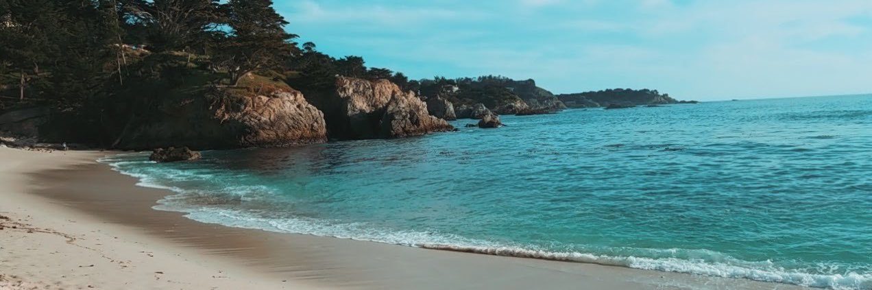 brenicolee7's profile banner image