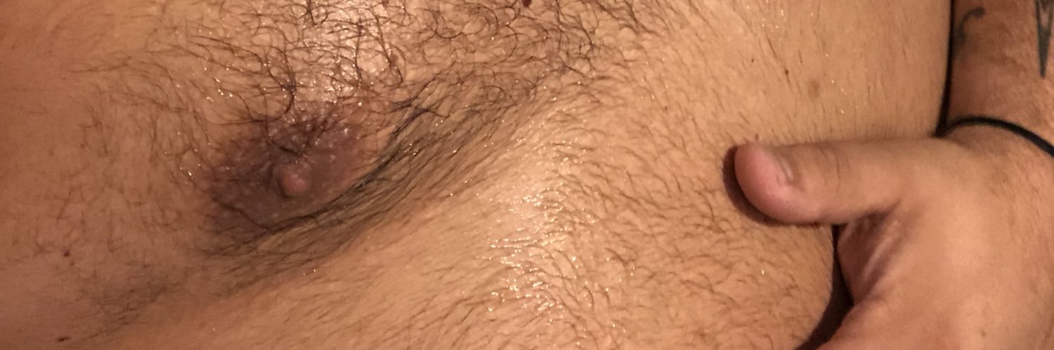 bodegabear's profile banner image