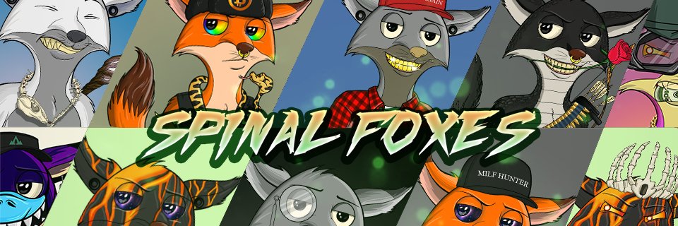 Spinal Fox banner