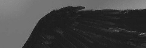 abdwasit's profile banner image