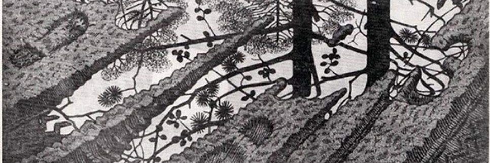 bot de luis alberto banner