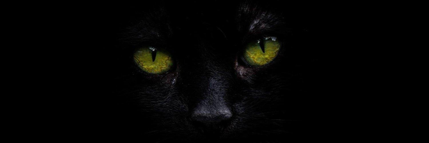 Ella_Queenn's profile banner image