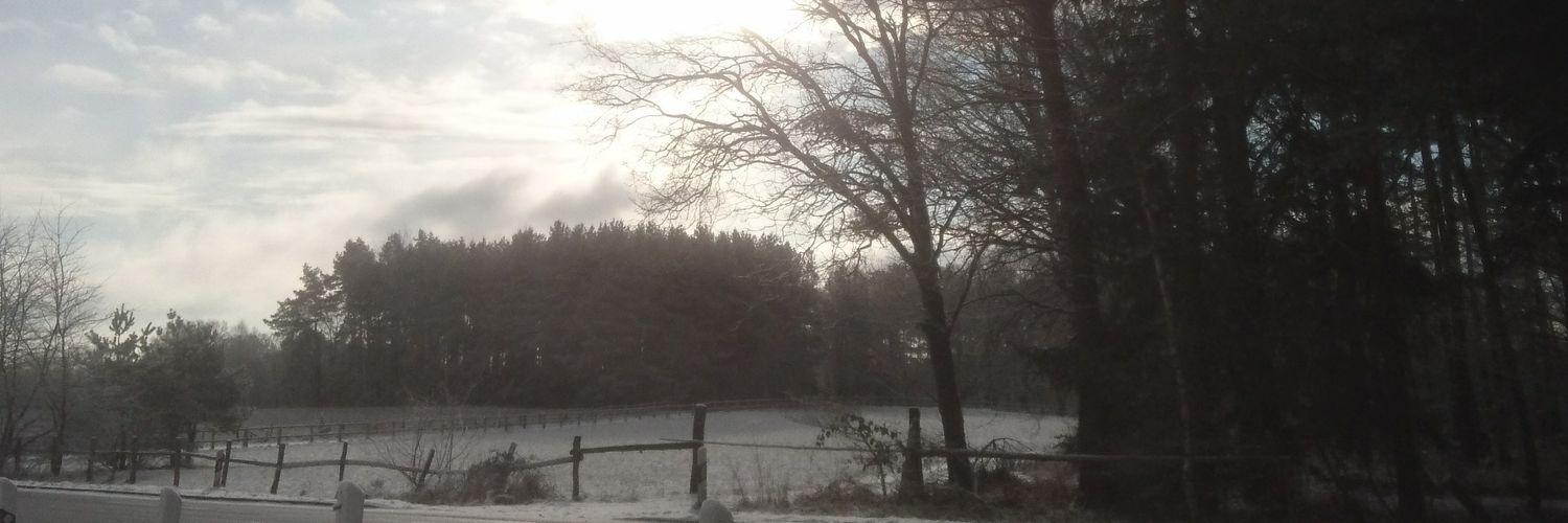 Seuchemarie #teamdemokratischeHerdenimmunität banner