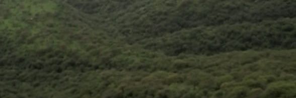 mmssd84's profile banner image