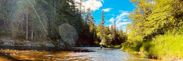 EcoAntoin Profile Banner