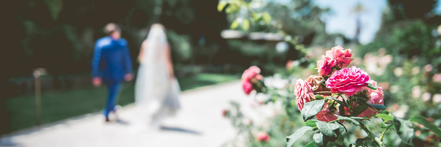 Eve Hopkinson Photo banner