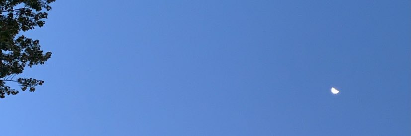 ValentinaAvall2's profile banner image