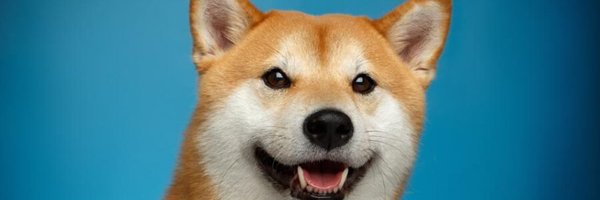 Mii Profile Banner