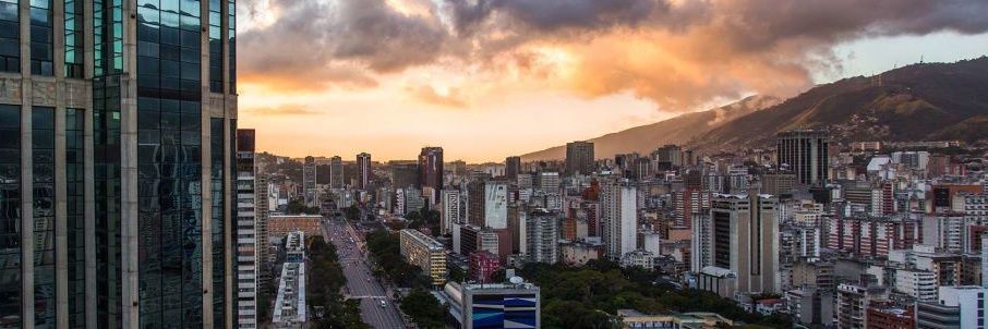 Erika Farías Peña banner