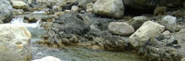 aswal18ankit Profile Banner