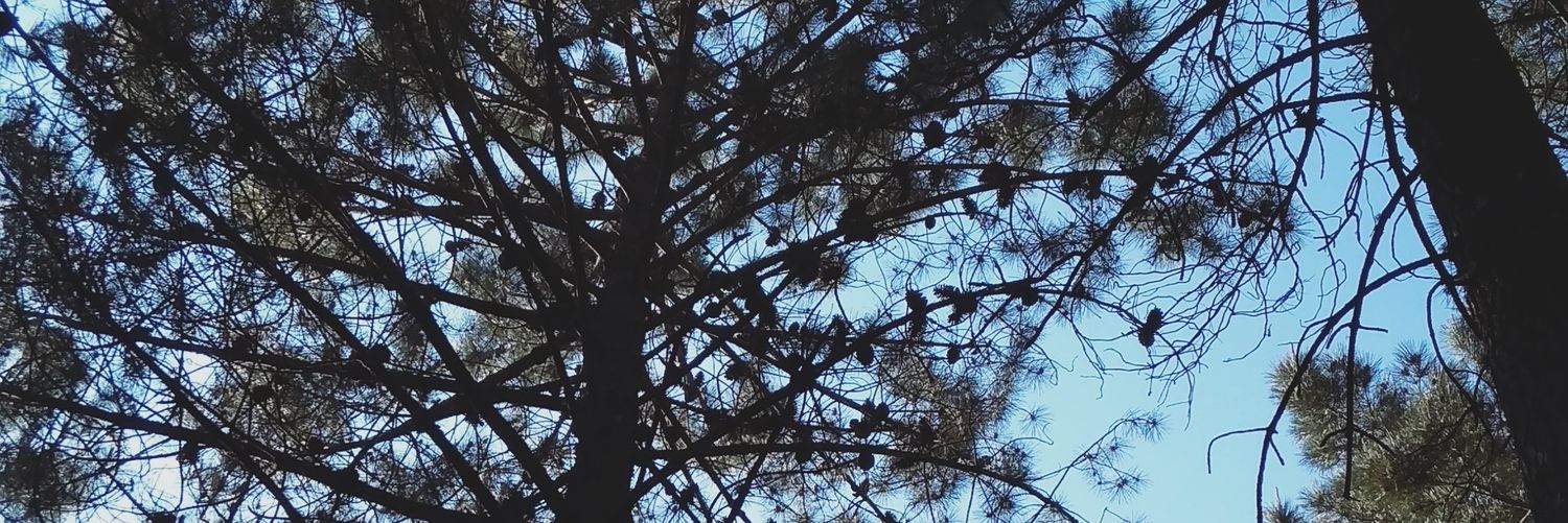 Mariaa_f18's profile banner image