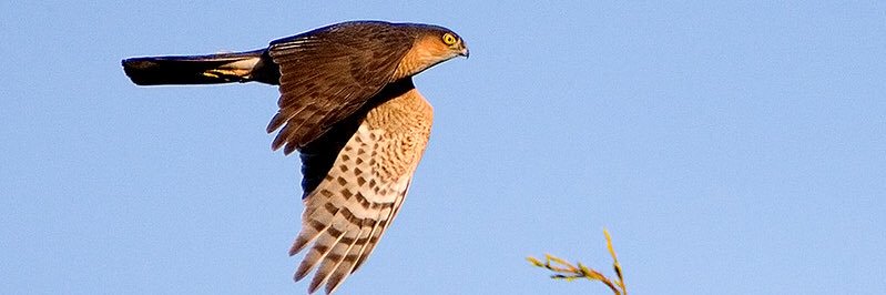 stoo's profile banner image
