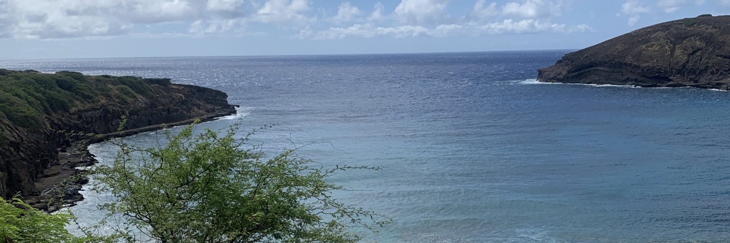 PointBreakTom banner