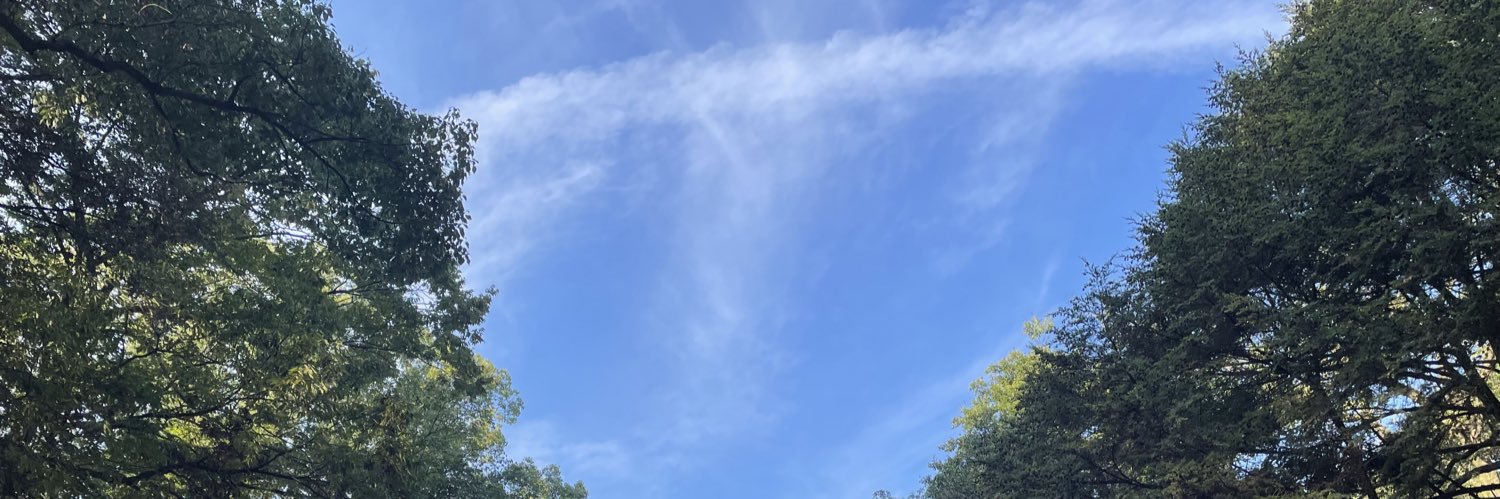 otkdsy's profile banner image