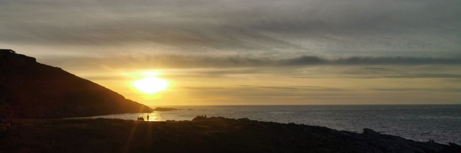 Dani Balsas banner