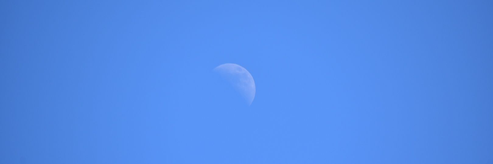 トキ@tf確認お願いします banner