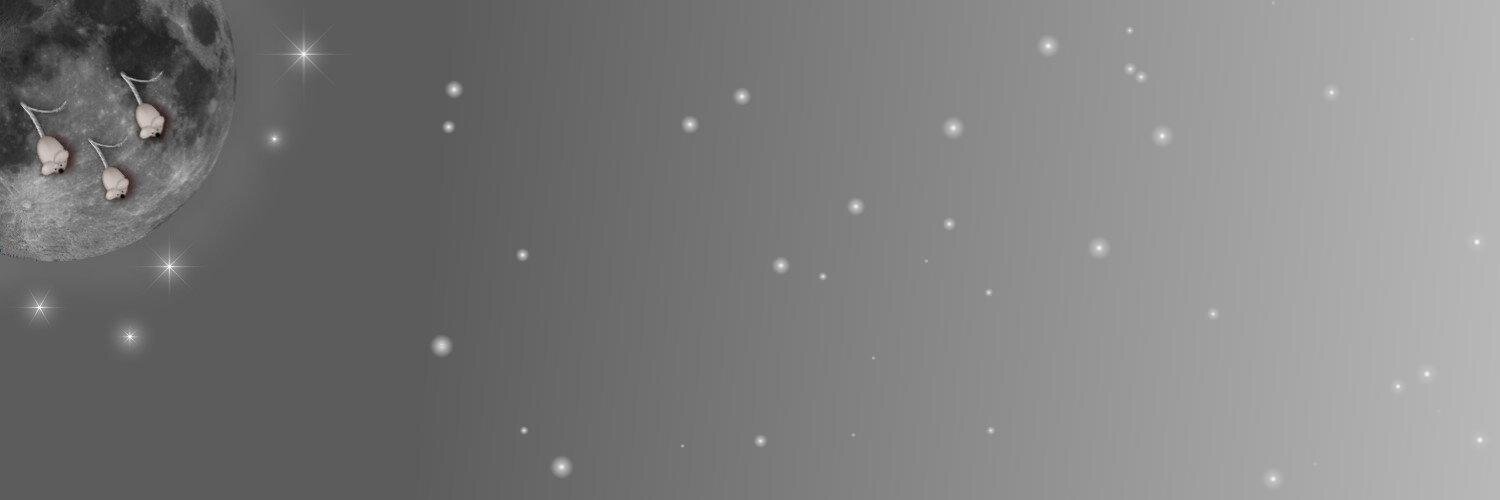 Jinjirrie 🐈‍⬛'s banner