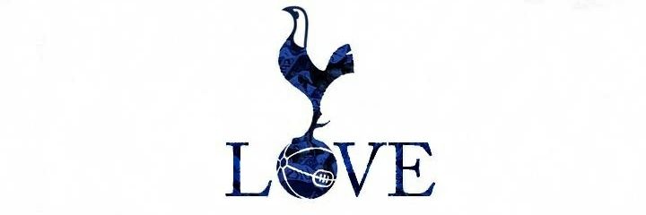 THFC Xavi banner