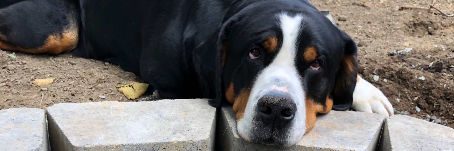 Bridget Bush MD FASA banner