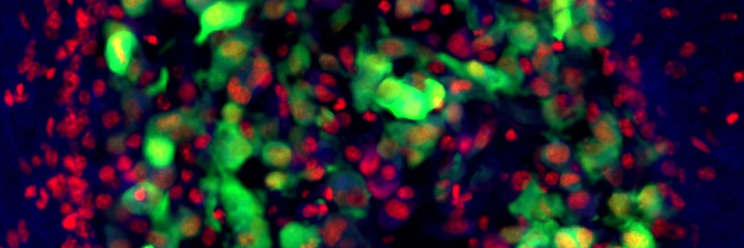 Okada Lab @ UCSF banner