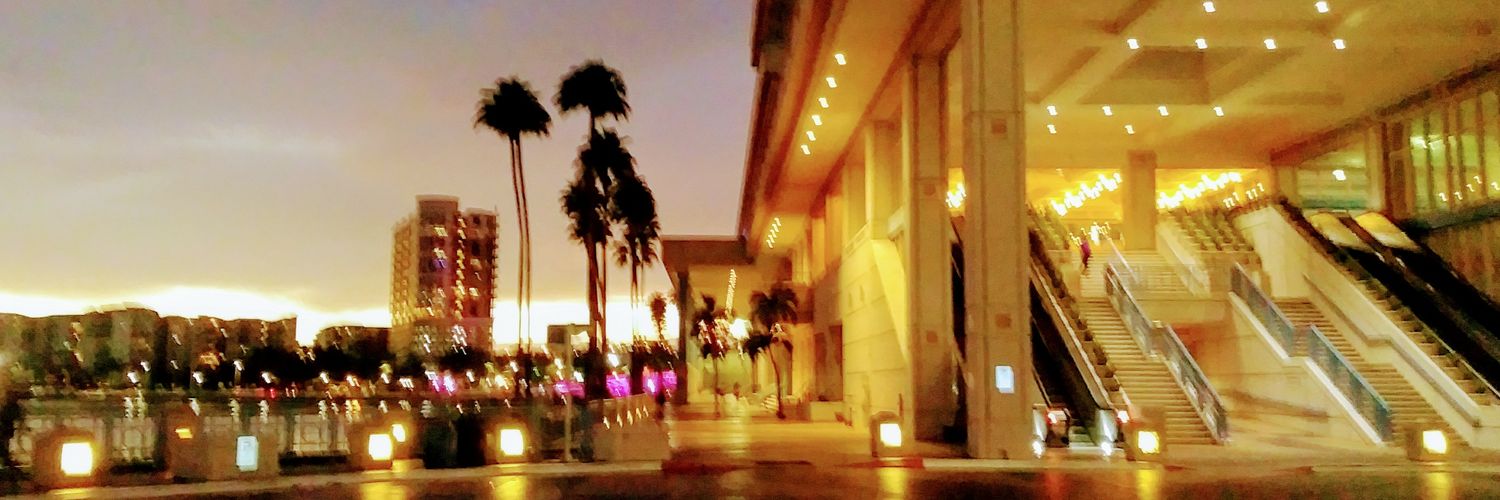 Vicki Raspa, Licensed Real Estate Broker banner