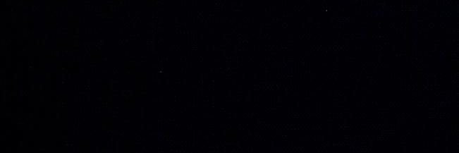 WANG. banner