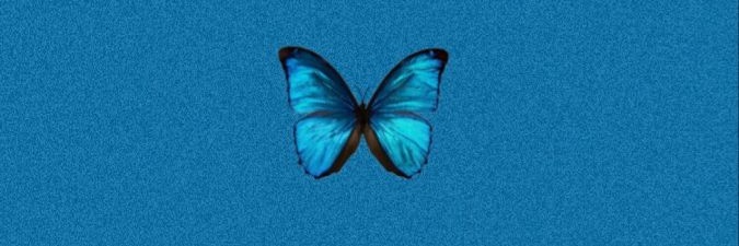 ZilliDaiana's profile banner image