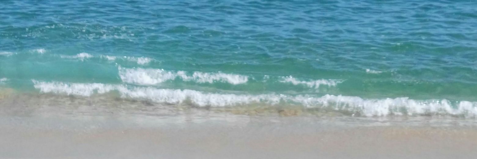 brendaniela1's profile banner image