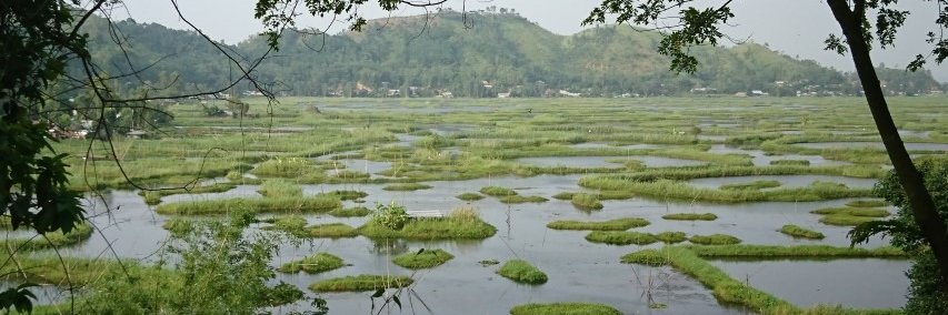 WforW.Foundation banner