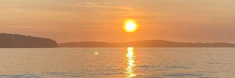 Bizzy 🇪🇷 banner