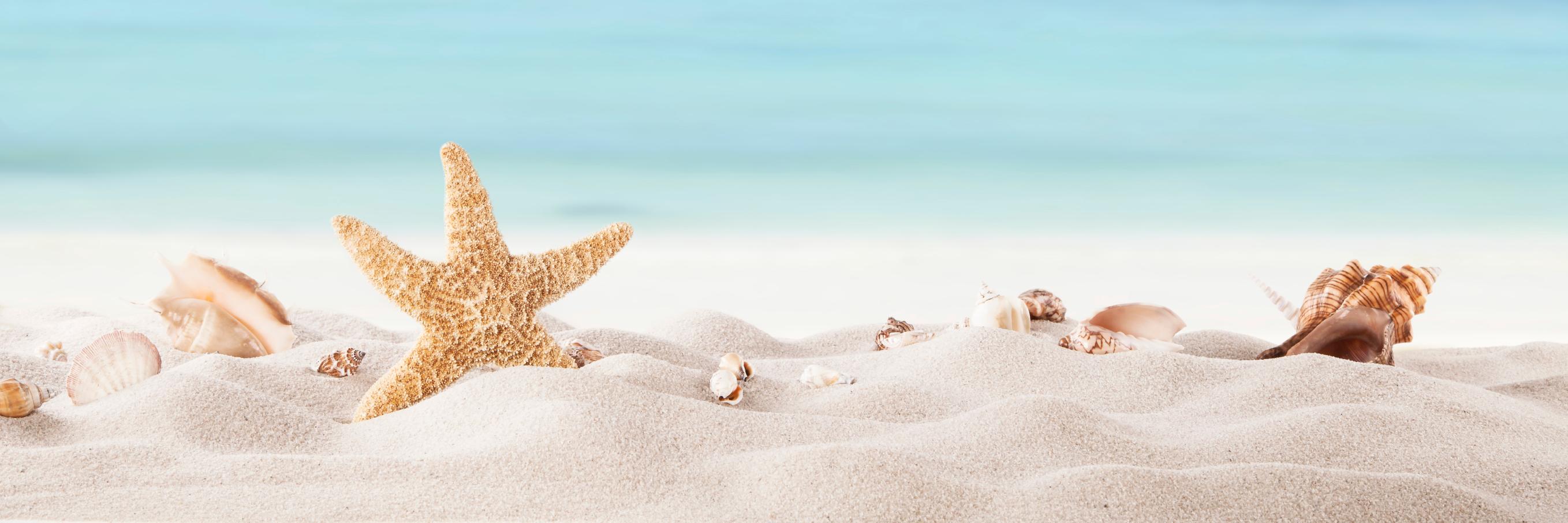 Travelfinders's profile banner image