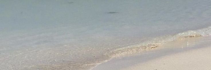 . banner