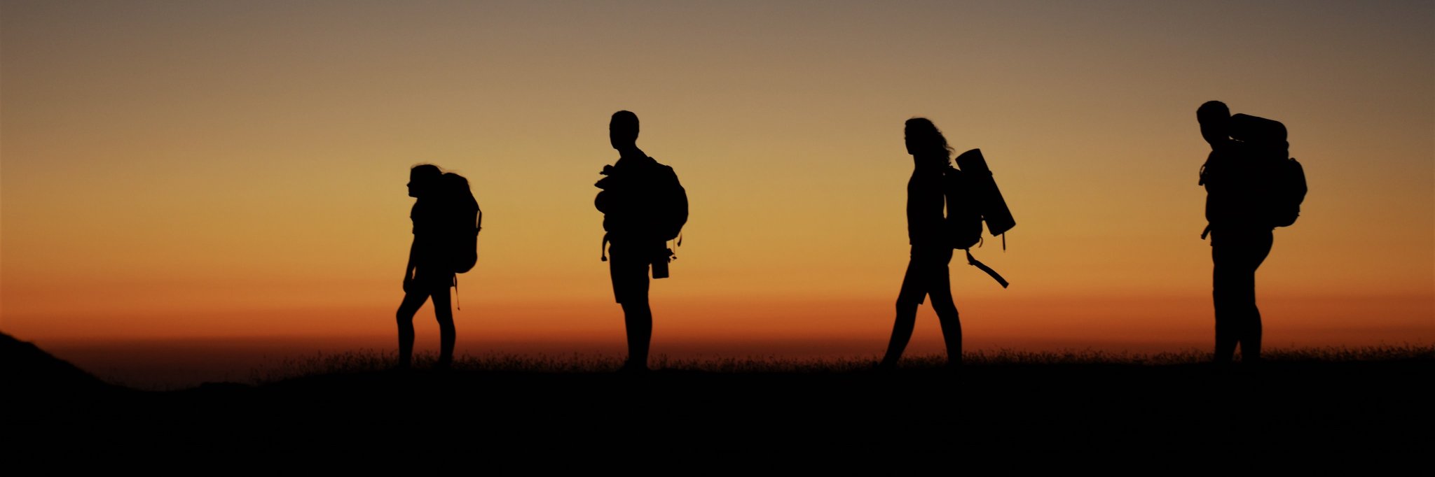 Mallozulo's profile banner image