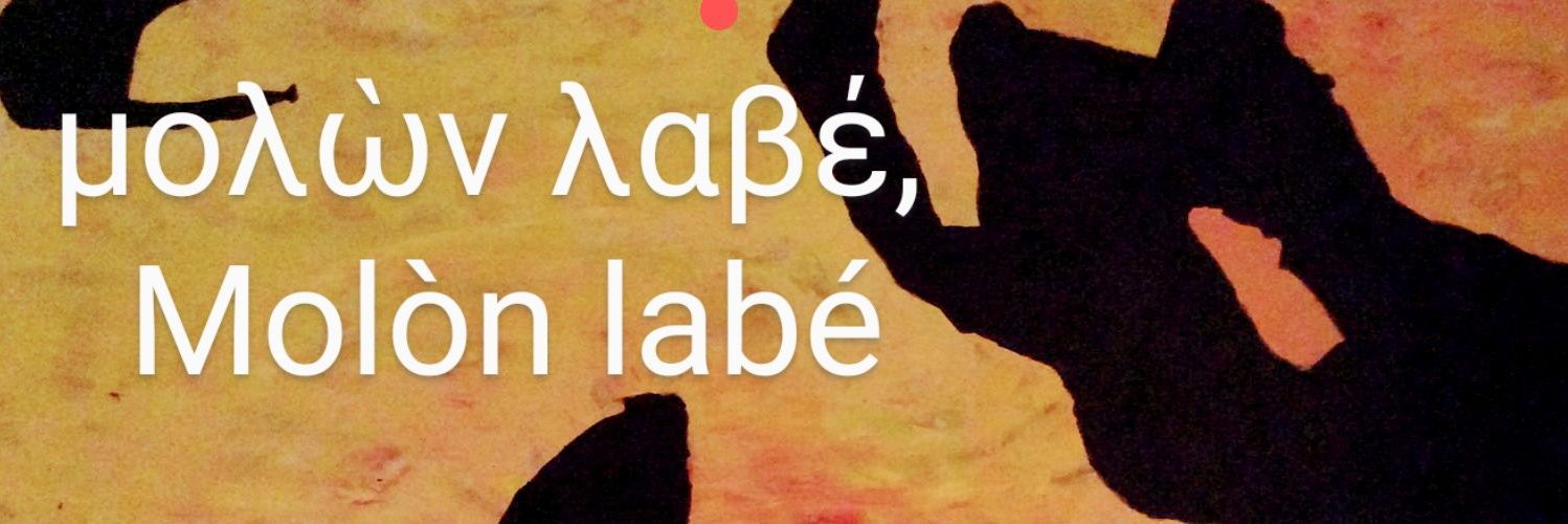 radicalmente antieuropeista 🏴‍☠️ banner