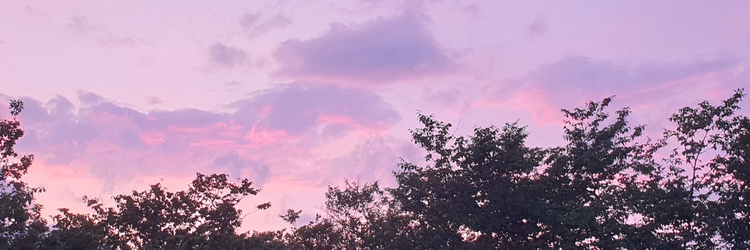 LauraBleyer's profile banner image