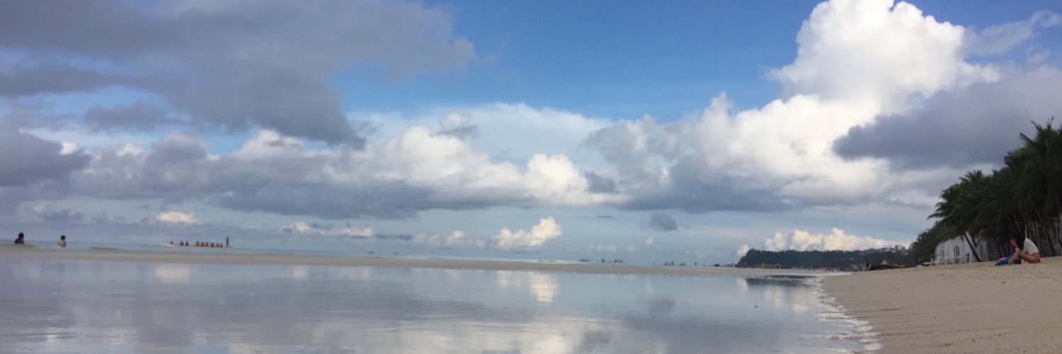 summerofwildcat's profile banner image