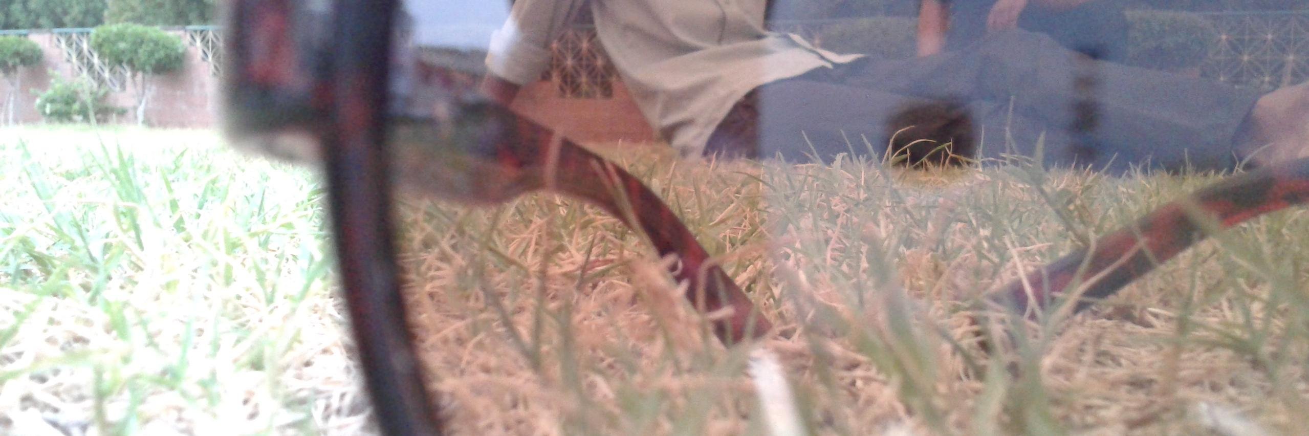 malikhaseeb20's profile banner image