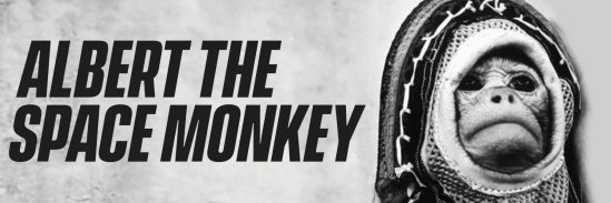 $ALBERT banner