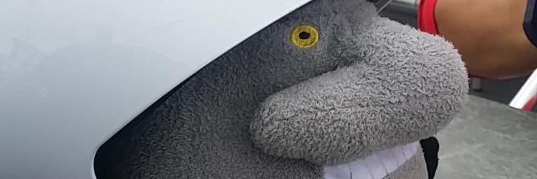 Pintahiiva's profile banner image
