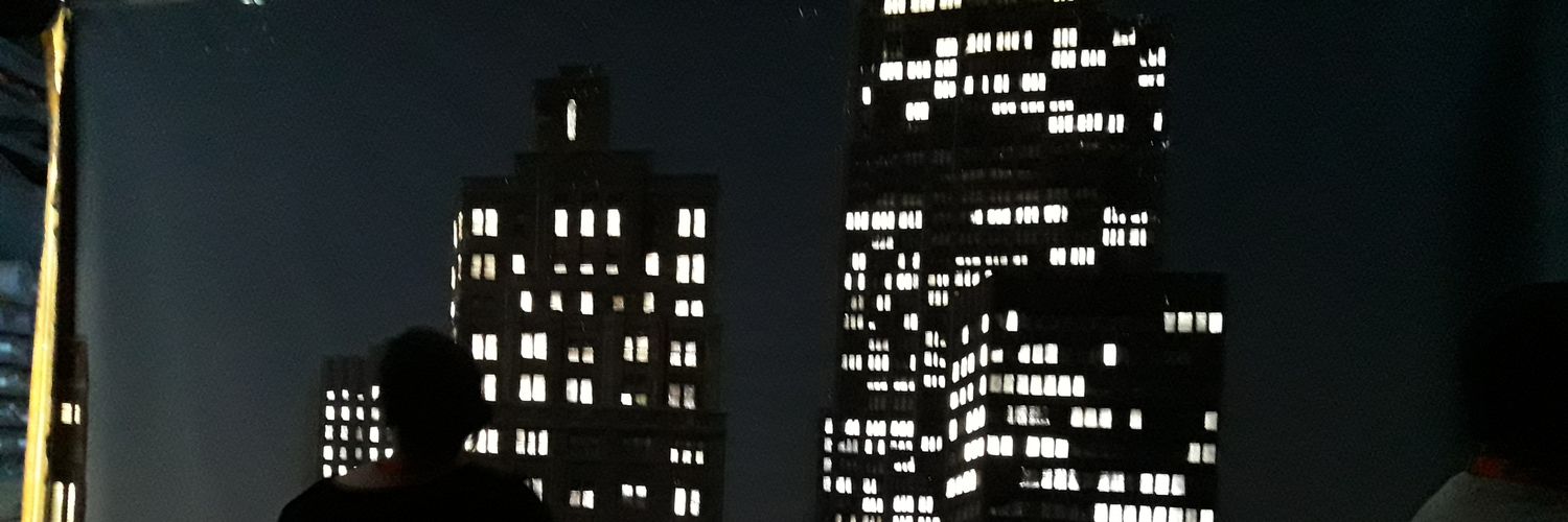 dindoisms's profile banner image