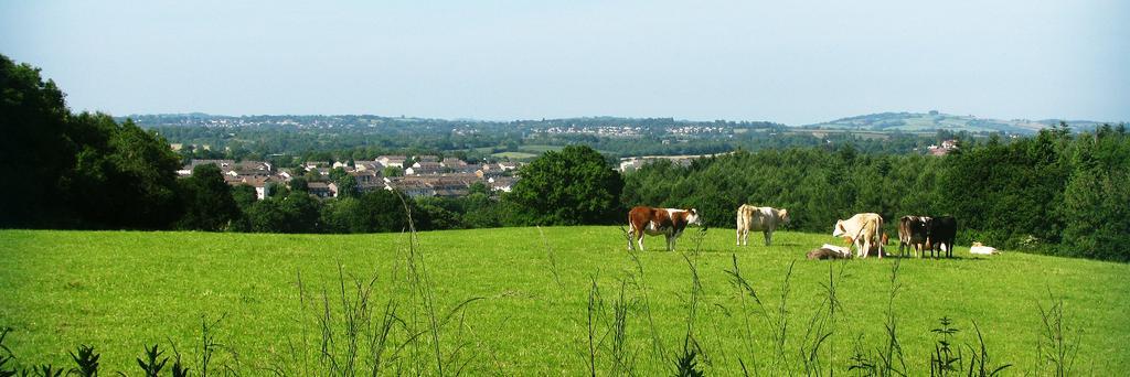 Rural PLC (Kent) banner