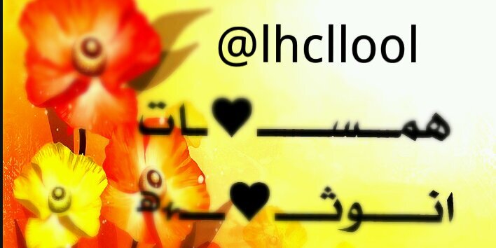 LhclLool's profile banner image