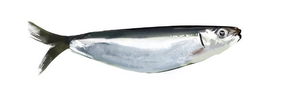 MORNING”🎲🍳 banner