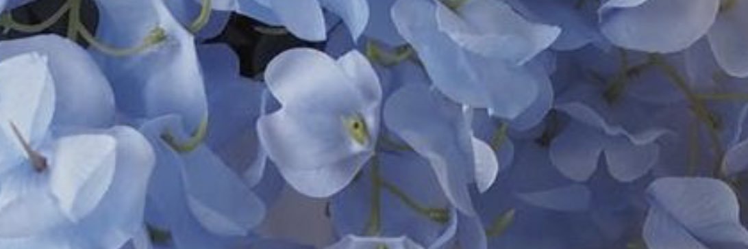 _cosycrossing's profile banner image