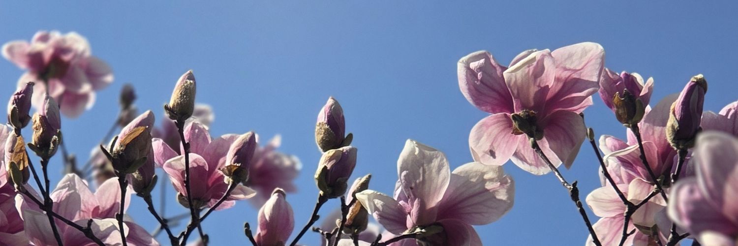 karam1004's profile banner image